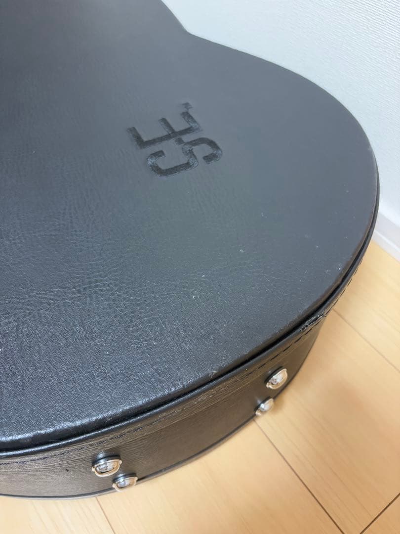 ポールリードスミスSE アンジェラス スタンダード ギター