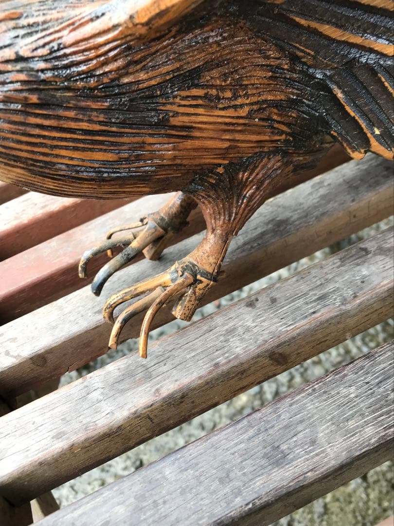 珍しい竹細工の鷹❣️