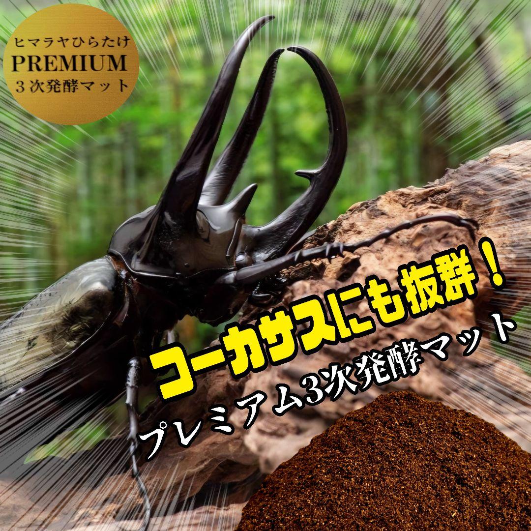 ヘラクレス181ミリ羽化実績！極上！プレミアム3次発酵カブトムシマット　100L