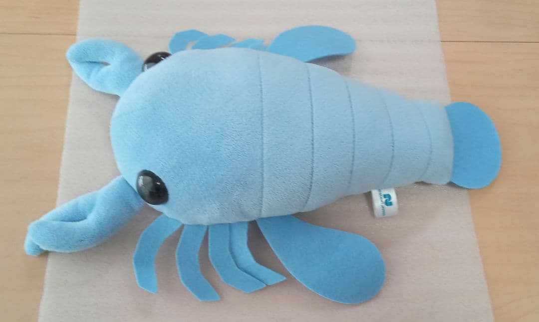 ♾️超稀少!! アノマロカリス＆ウミサソリのぬいぐるみ2体