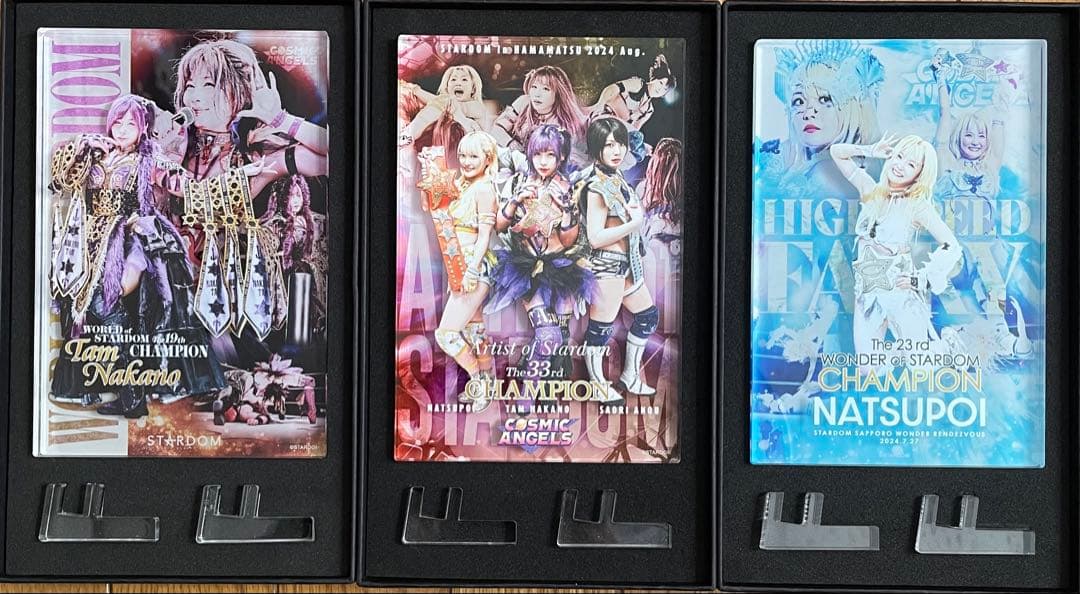 スターダム　アクリルブロック