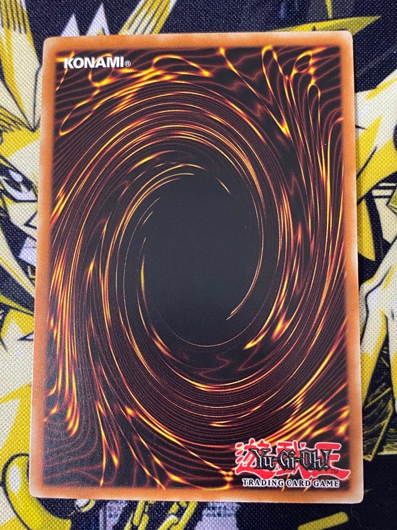 遊戯王 ハーピィズペット仔竜 英語版 レリーフ 1st