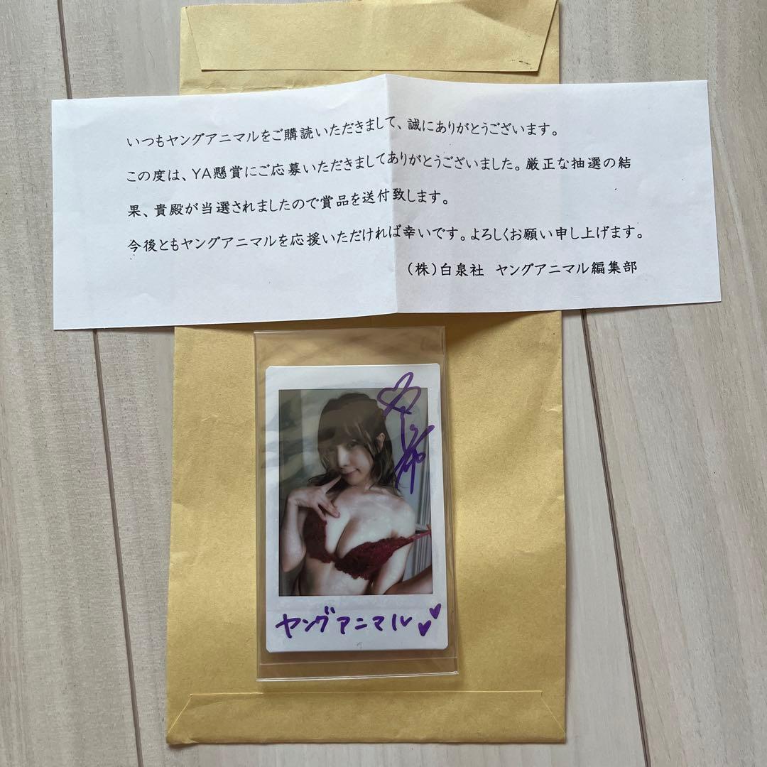 専用 抽選プレゼント品　ヤングアニマル　当選品　宮本彩希さんサイン入りチェキ