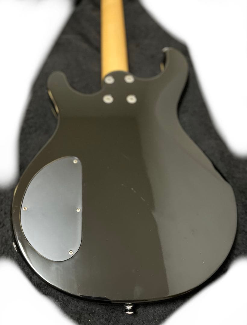 chatting bird エレキギター