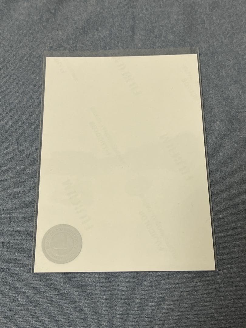 櫻坂46 森田ひかる　クリスマスサンタ衣装　直筆サイン