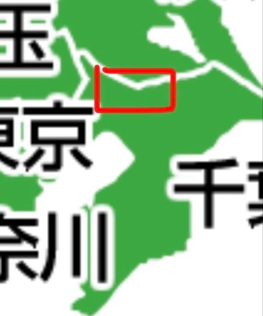 ペットカート miliclan lite ライトグレー　2匹用