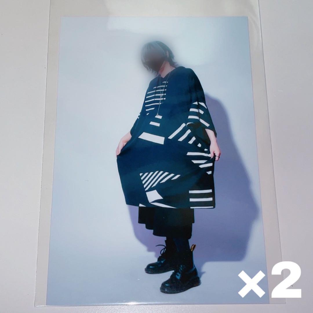 にしきくん 残雪 ブロマイド×15枚セット