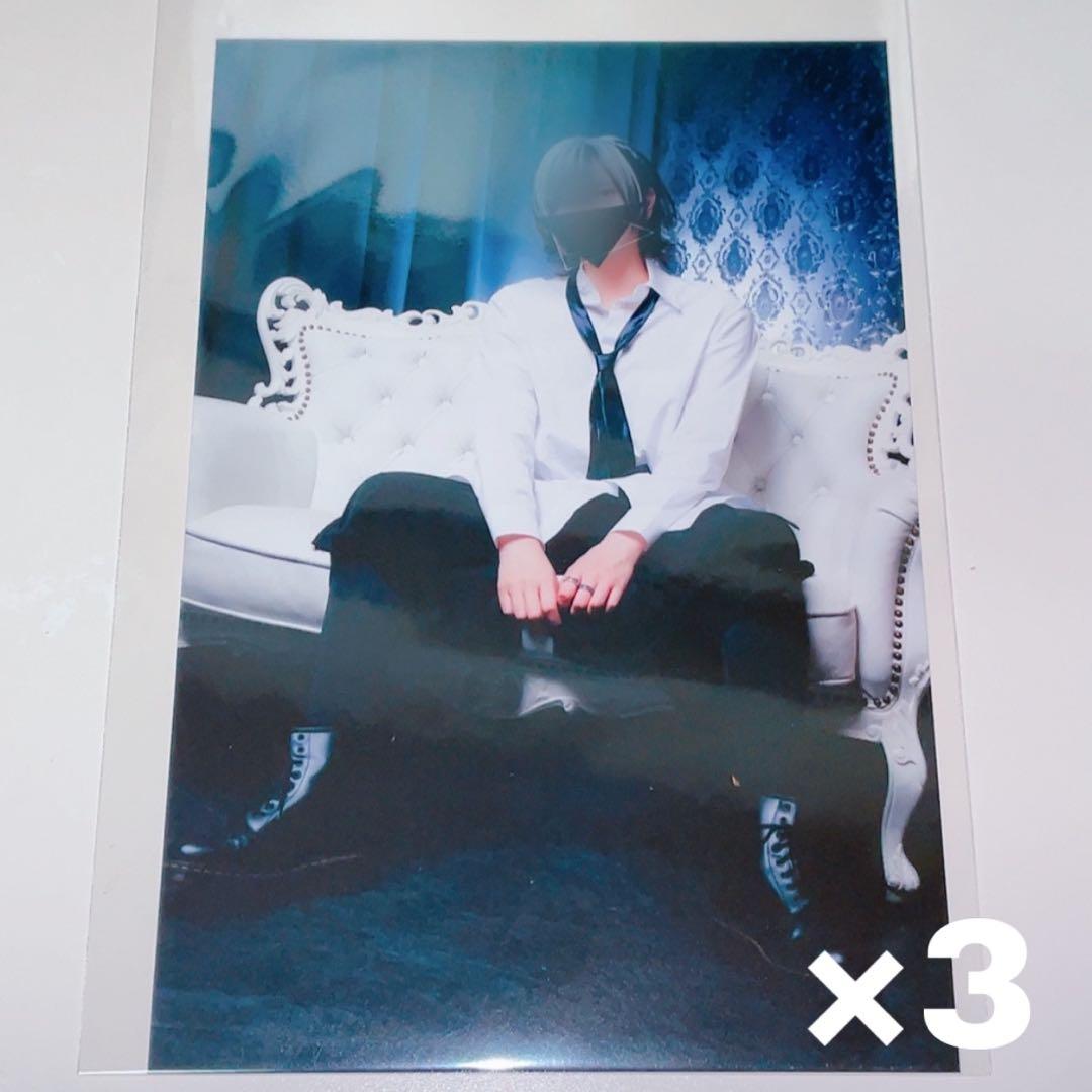 にしきくん 残雪 ブロマイド×15枚セット