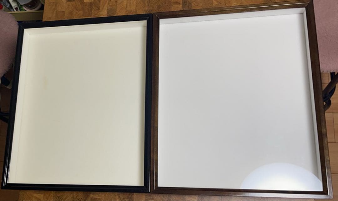 標本箱 ドイツ箱