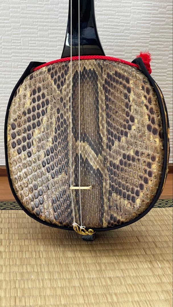 3/18まで特価❗️沖縄三線　ソフトケース付　初心者　三味線　黒塗