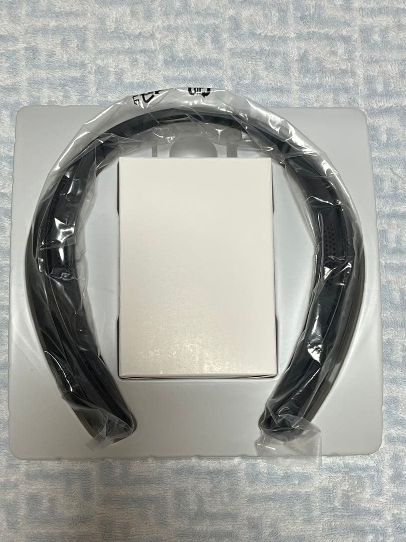 パナソニック SC-WN10-K ネックスピーカー ブラック Bluetooth