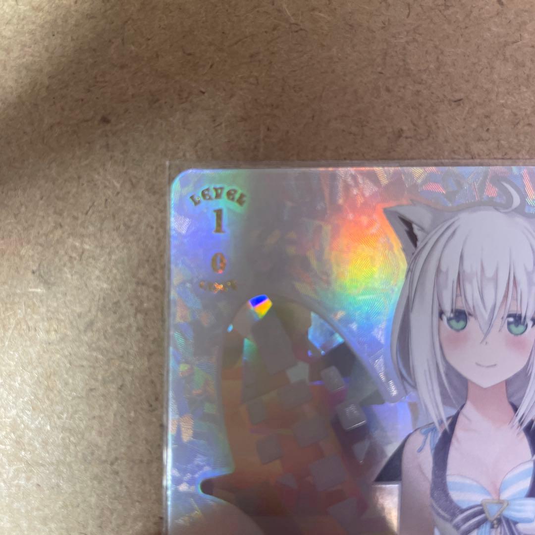 Summer Splash Party 白上フブキ