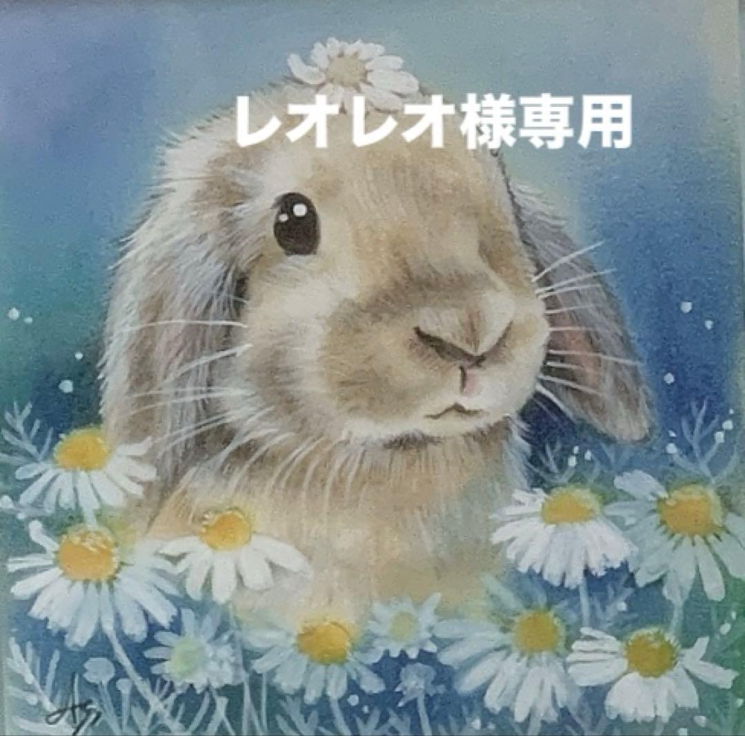 《レオレオ》バニーセレクションプロヘアボールコントロール400g他追加有