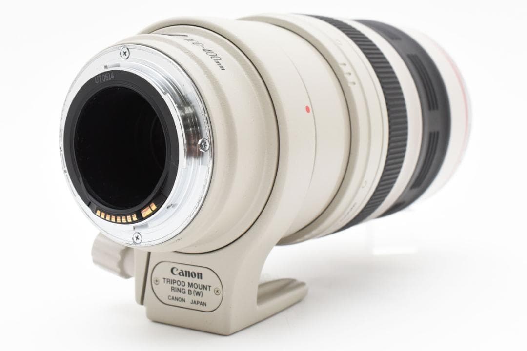 Canon EF 100-400mm Ｆ4.5-5.6 L IS USM 772