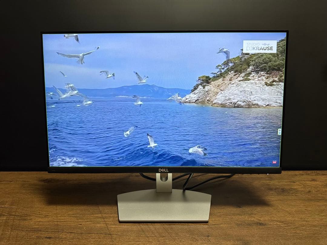 2024年製　DELL S2421HN 24インチモニター