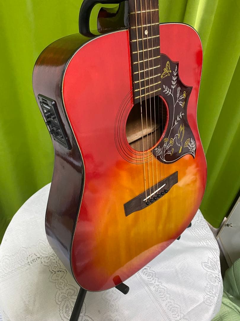 新春特価カントリーしようぜ！ ハミングバードHOTTAエレアコ音出し良好！