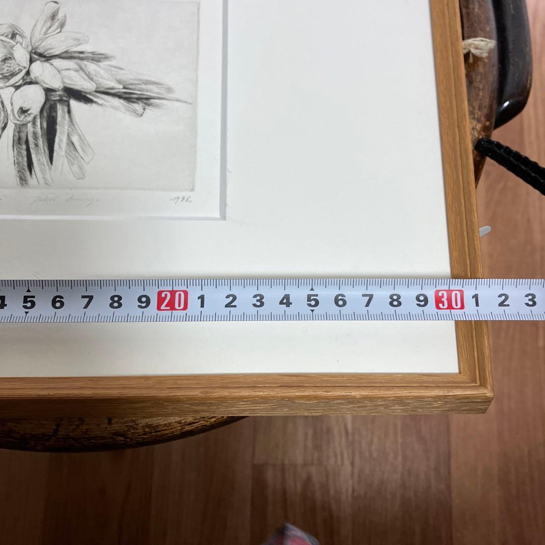 Jakob Demusダイヤモンドドライポイント技法エッチング　ボタニカル画②