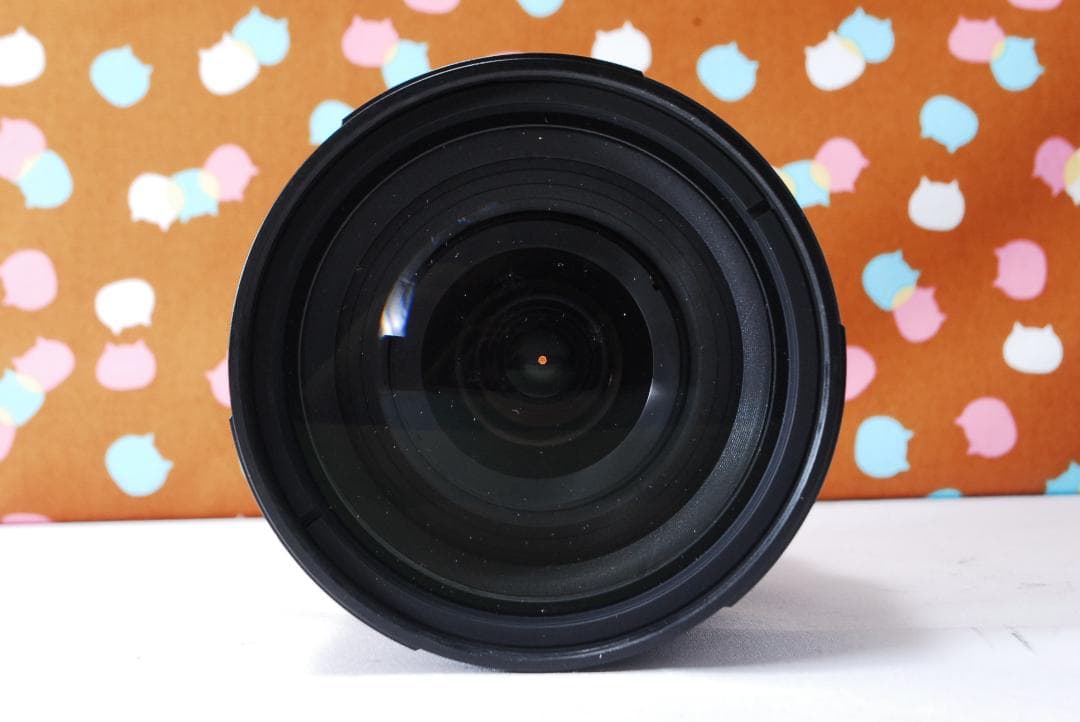 ✨新品級✨ショット数772回✨Nikon D50 レンズセット