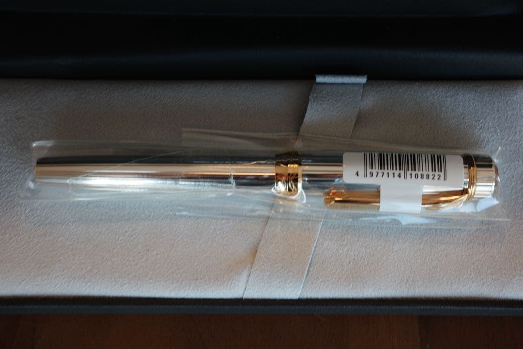 Platinum プラチナ万年筆 銀無垢 PTS-5000 新品 太字