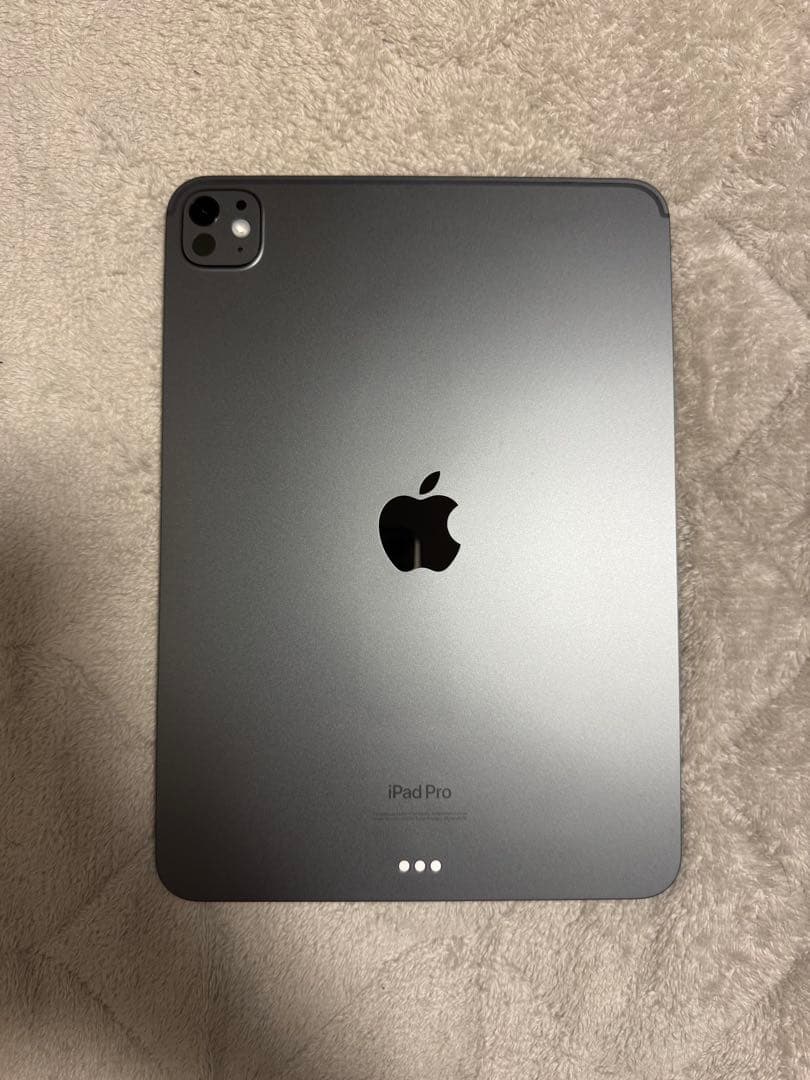 11インチiPad Pro M4チップモデル　256GB
