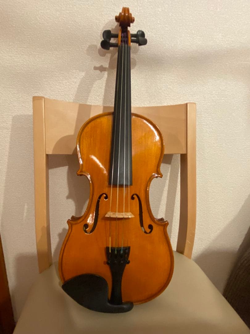 Gliga Gems 4/4 バイオリン