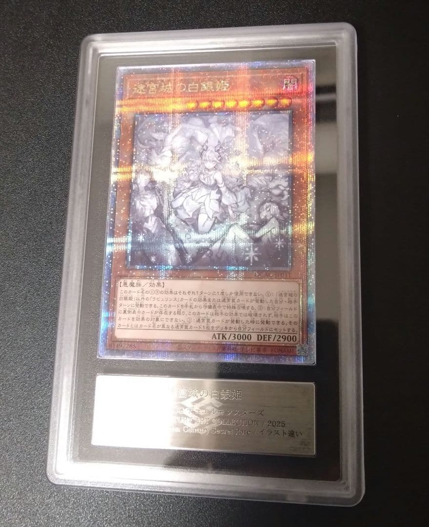 【ARS10＋】迷宮城の白銀姫　25thシク　クオシク