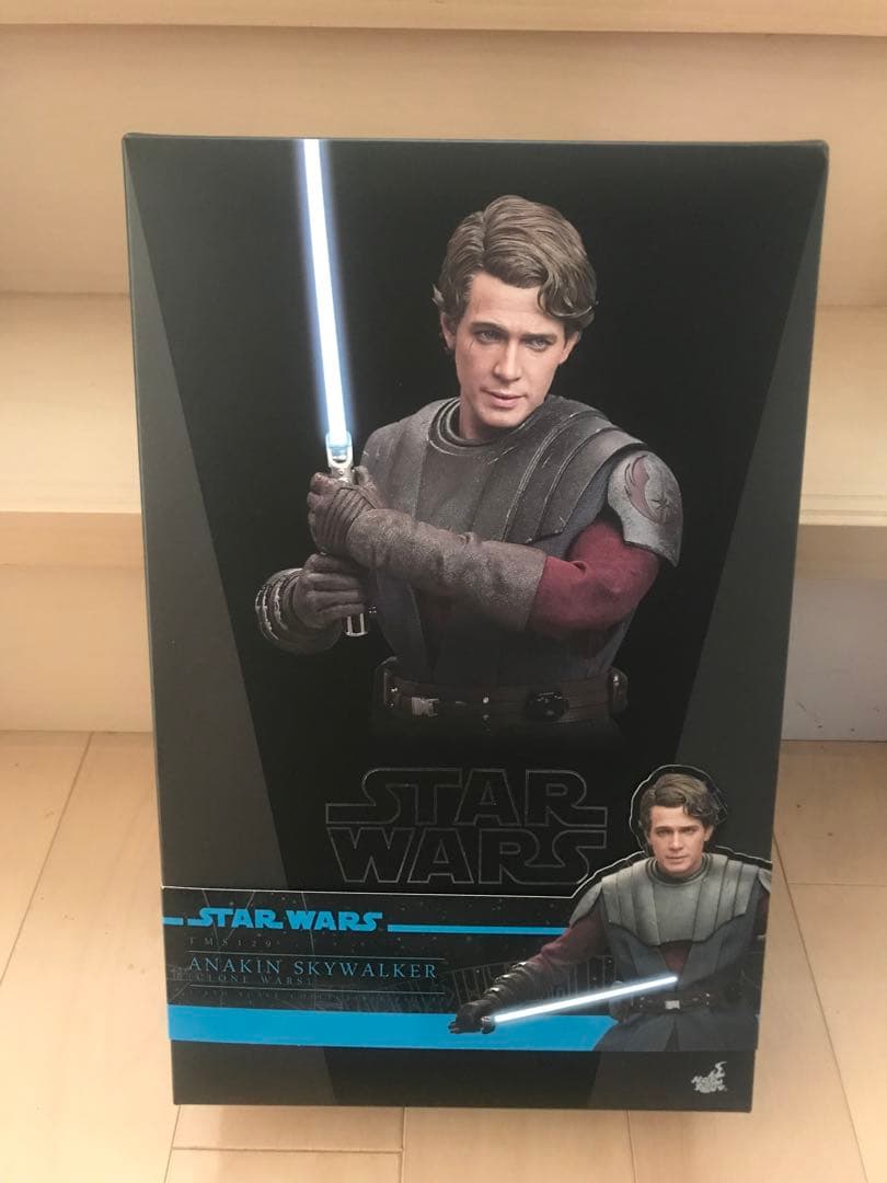 アナキン・スカイウォーカー 1/6 ホットトイズ TMS129