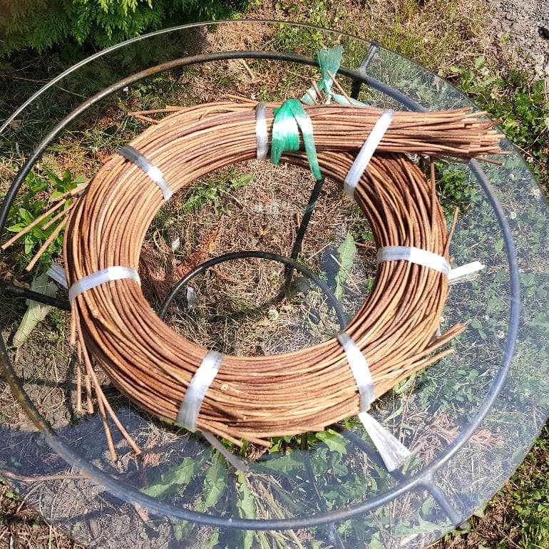 青森県岩木山採取　あけび蔓　150cm～　1kg