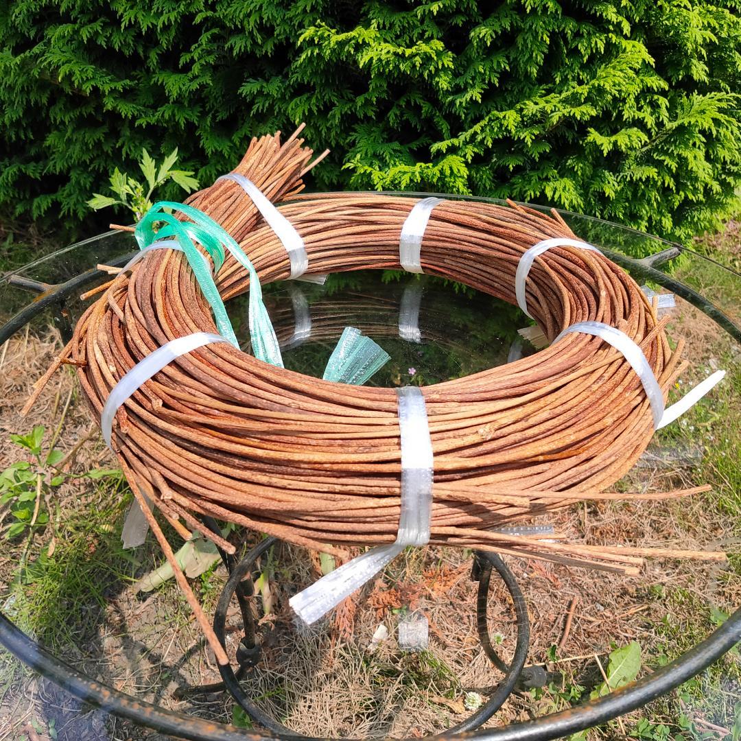 青森県岩木山採取　あけび蔓　150cm～　1kg