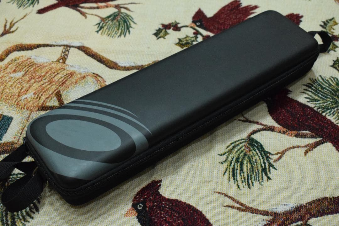 プラスチックフルート nuvo Student Flute 青