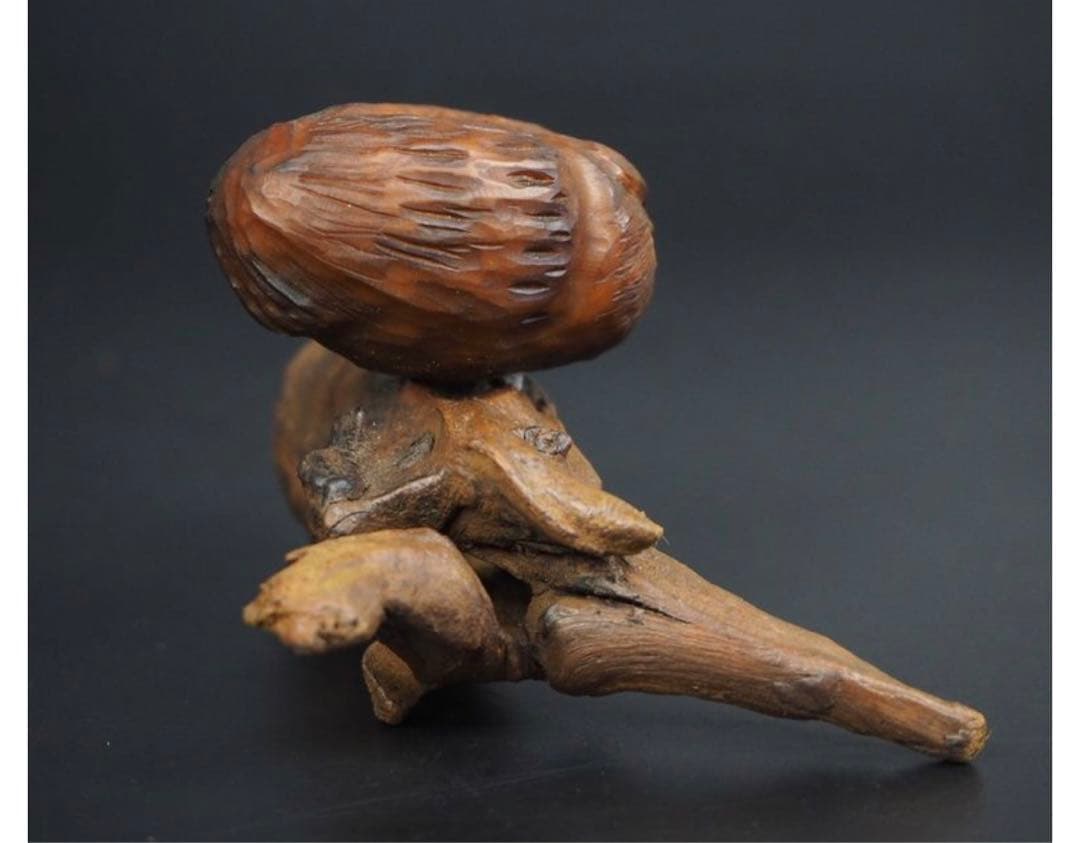 送料無料コレクター放出品天然素材フクロウ置物　神代木にフクロウ箱付骨董古玩古美術