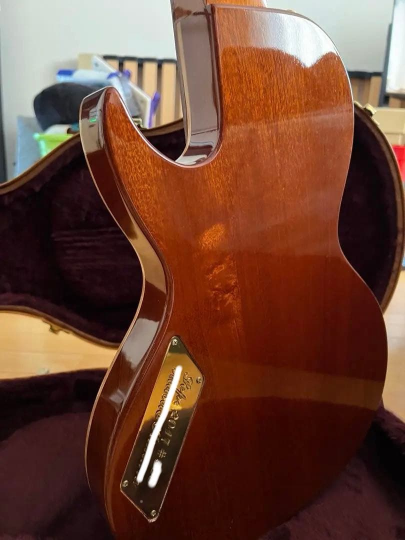 ギター B&G GUITARS little sister private build