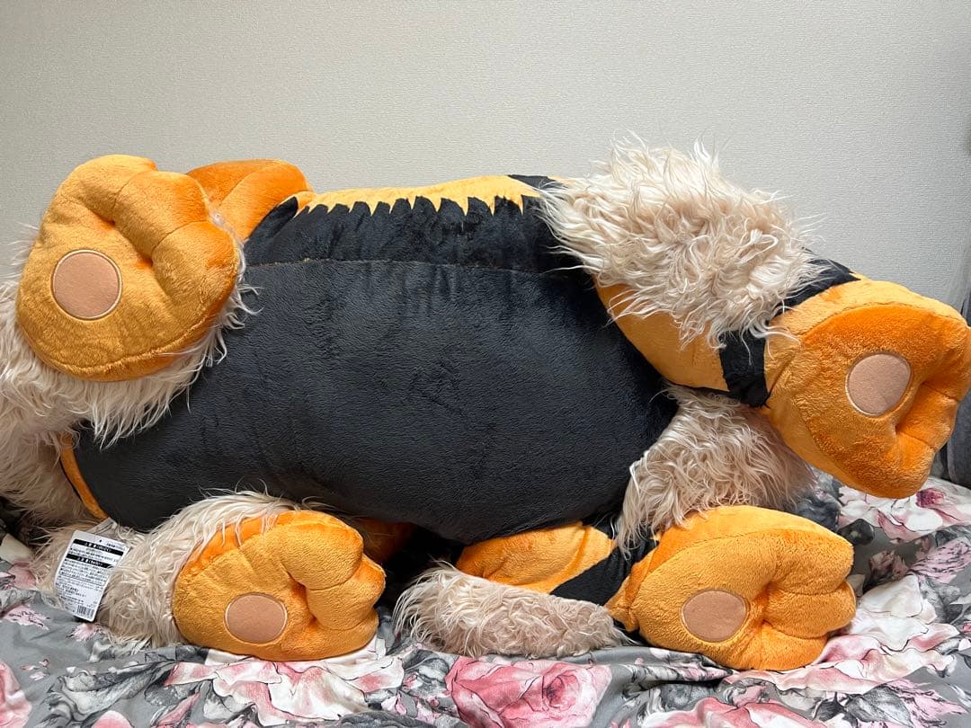 【24時間以内発送】添い寝 ウインディ