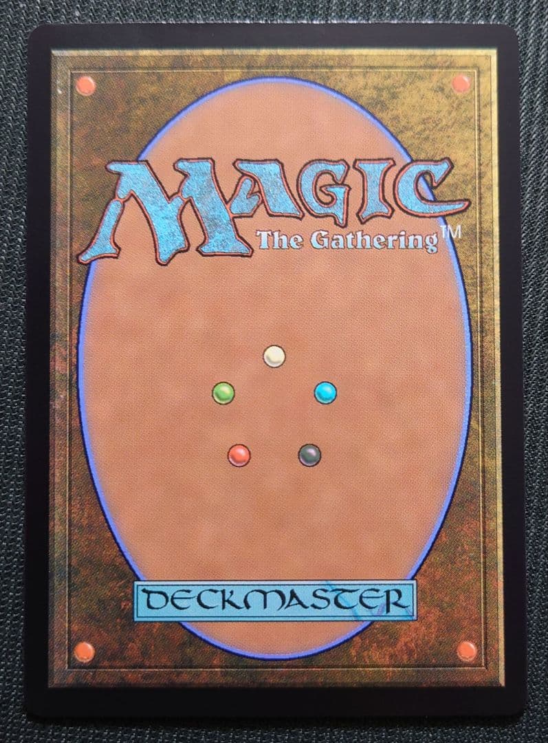 mtg 超稀少 ボーダーレス 英語版 FOIL 湿った墓 rvr