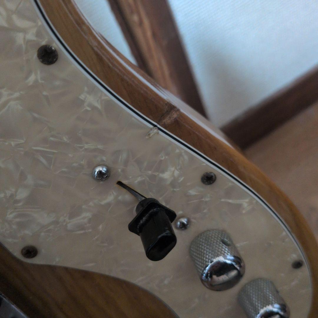 Vanzandt TLV-THINLINE 　ヴァンザント　テレキャスター