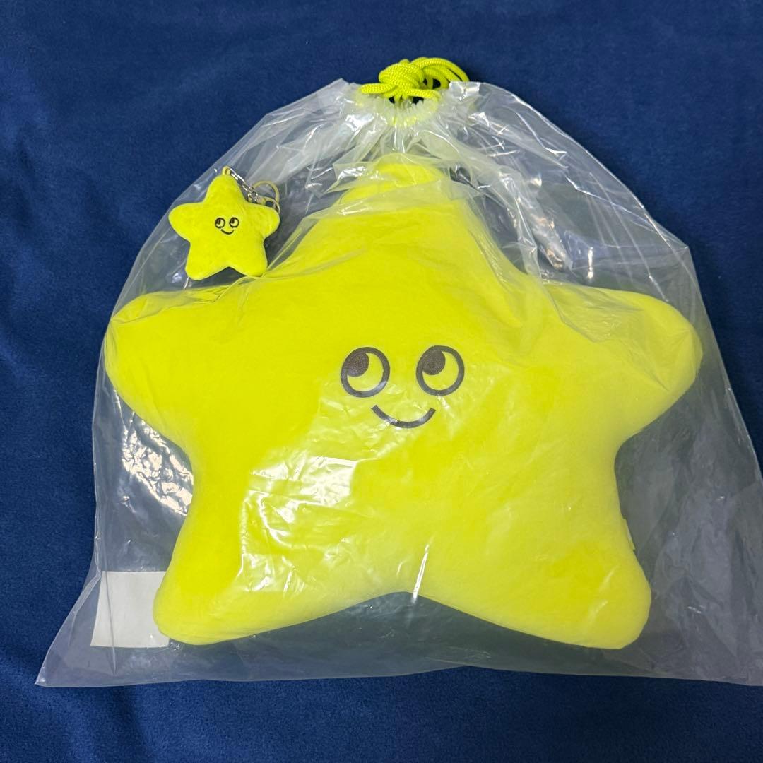 NCT127 taeyong テヨン プルガサリ 星 クッション