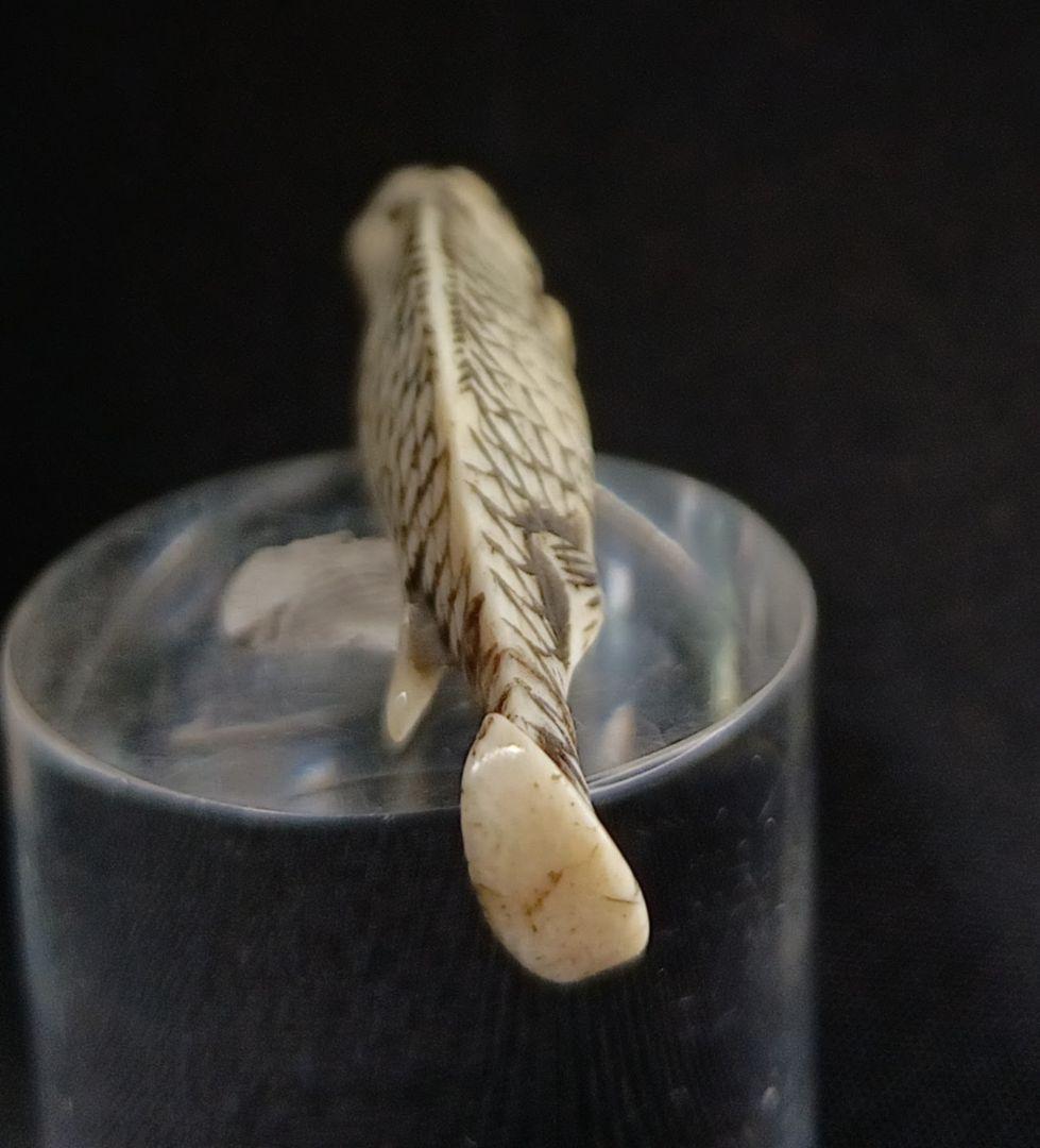 鯨歯彫 型彫 根付「川魚 」江戸時代 珍しい題材