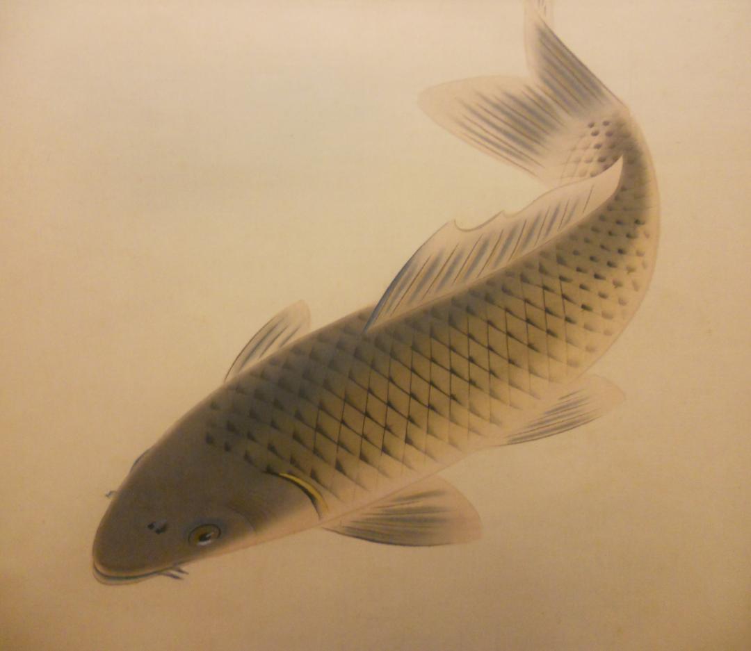 掛け軸 長田青閑 『 鯉 』 絹本 希少 軸装 茶道具 掛軸 美品 です。