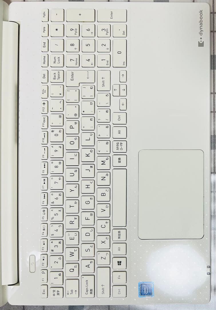DYNABOOKノートパソコンWin11/8GB/m.2SSD256GB/1TB