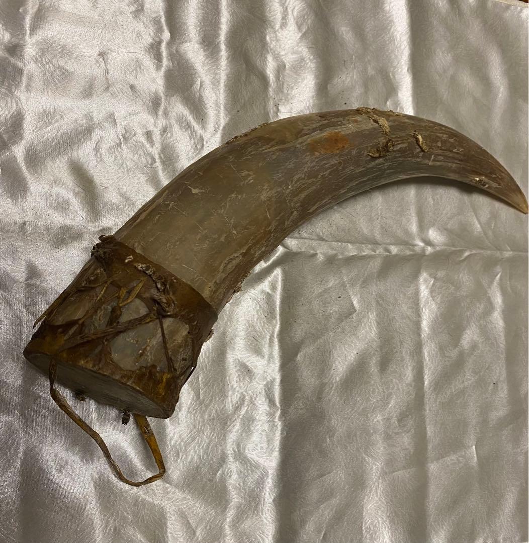 希少、ケニア訪問時購入バッファロー角！マサイ族から本物