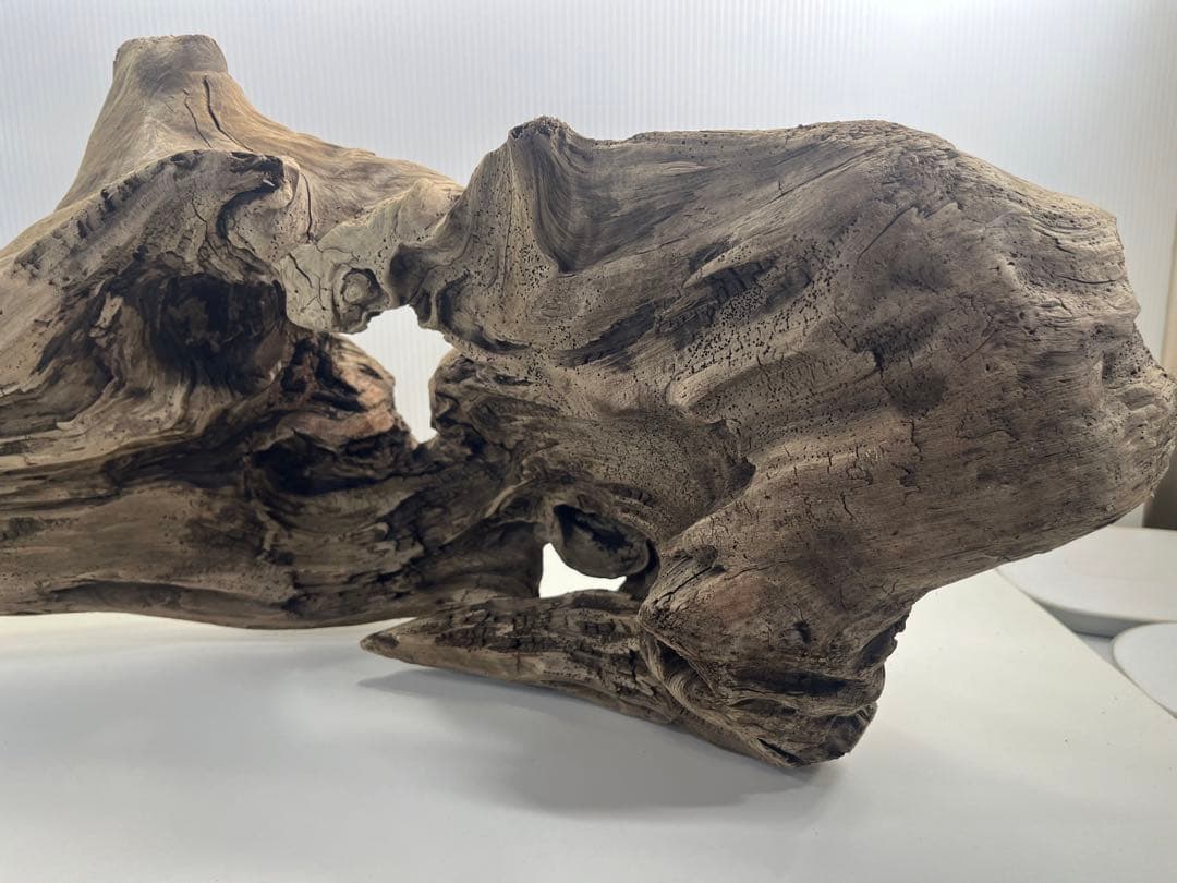 V45特大流木 アク抜き済み流木 爬虫類シェルター 登り木 インテリア 生け花