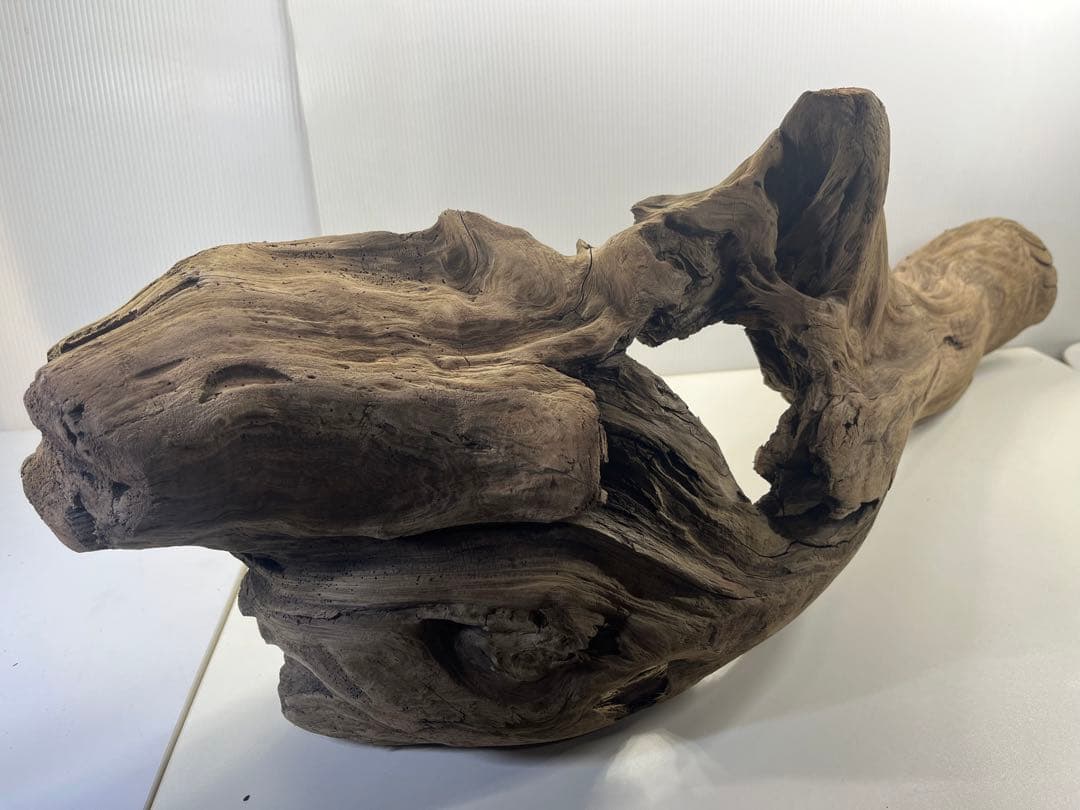 V45特大流木 アク抜き済み流木 爬虫類シェルター 登り木 インテリア 生け花