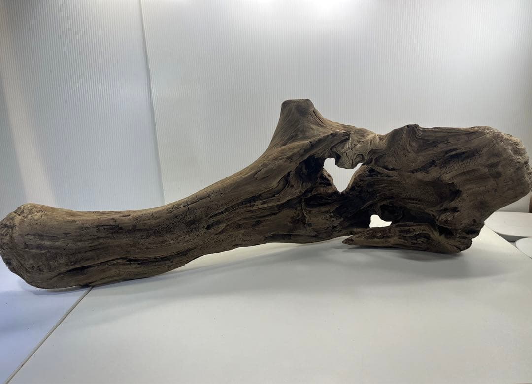 V45特大流木 アク抜き済み流木 爬虫類シェルター 登り木 インテリア 生け花