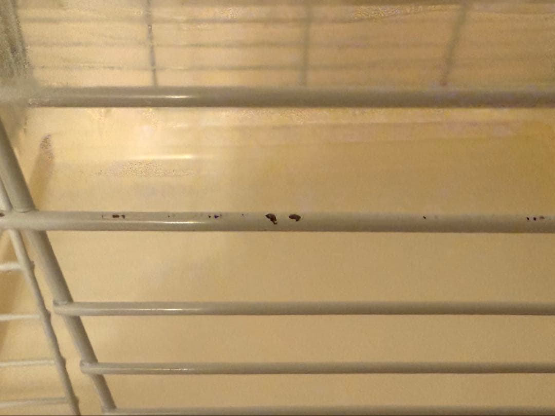 すのこ有 サンコー イージーホーム エボ 60 ホワイト