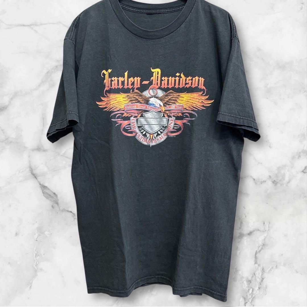 レオナルド　ハーレーダビッドソン イーグル両面 USA製 フェード黒 L
