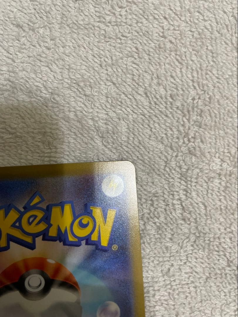 h*a様 ピカチュウ