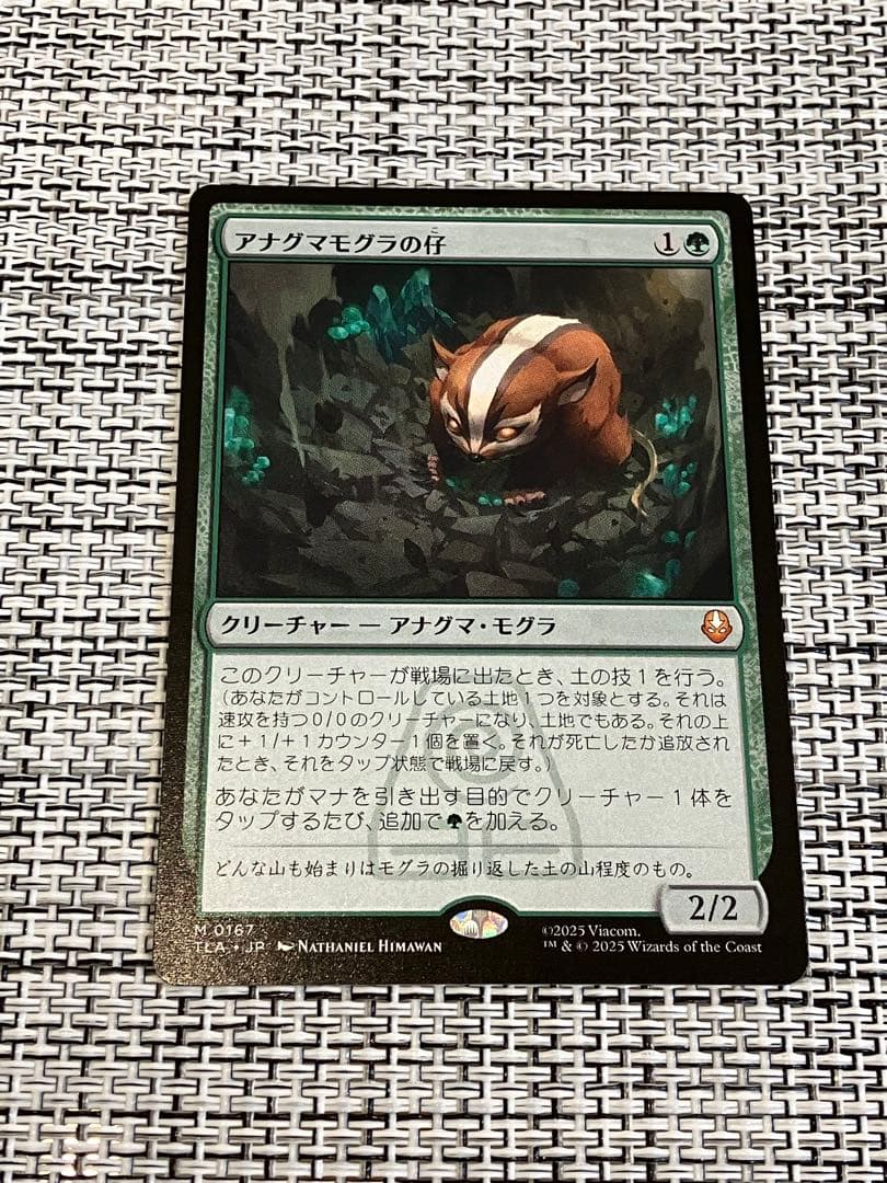 アナグマモグラの仔/Badgermole Cub