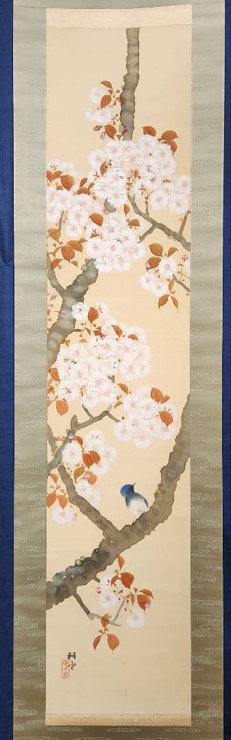 【桜花小禽図】山田耕雲 2688 サクラに鳥 春掛け 花見 掛け軸 肉筆 共箱