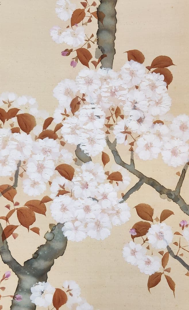 【桜花小禽図】山田耕雲 2688 サクラに鳥 春掛け 花見 掛け軸 肉筆 共箱