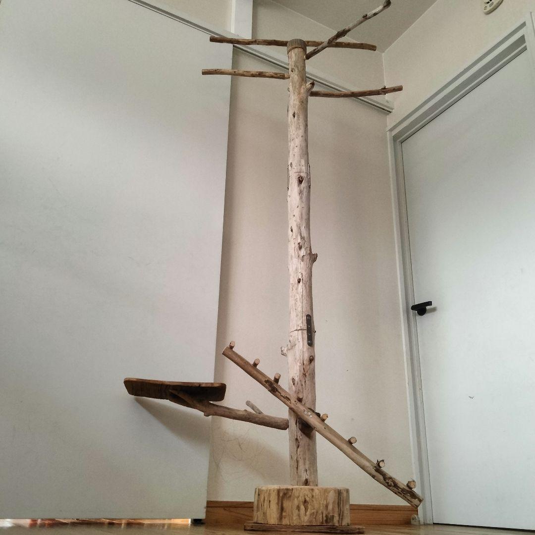 ひげ バードアスレチックジム  大型 天然木 自然木  止まり木